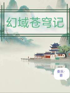 幻域契约怎么装