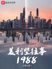 美利坚传奇人生顶点小说