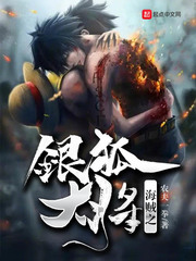 海贼之银狐小说