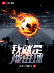 我就是能进球新笔趣阁