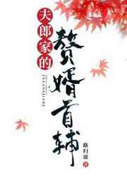 夫郎家的赘婿首辅144