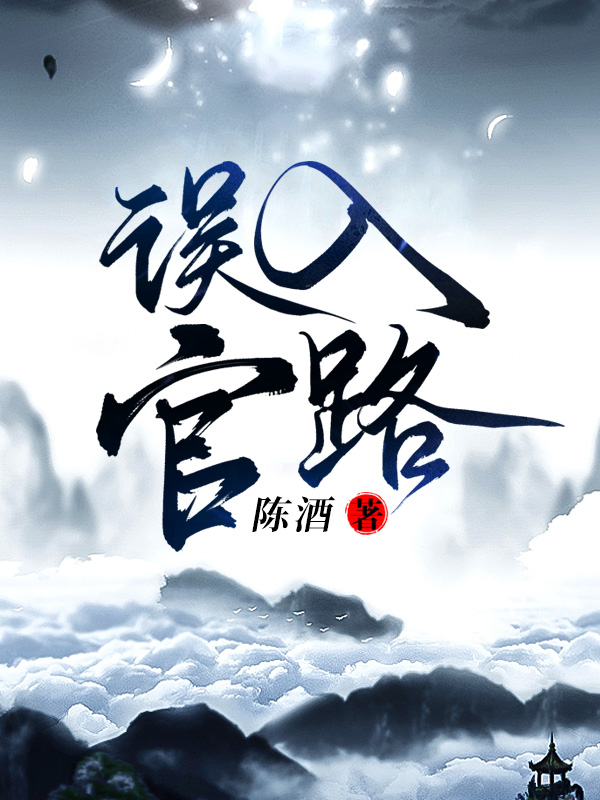 误入官场精校版txt
