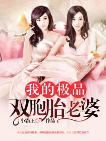 我的极品双胞胎老婆