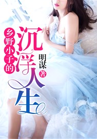 乡野小子的沉浮人生