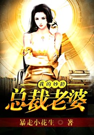 我的妙龄总裁老婆