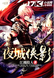 夜城侠影