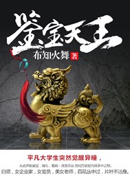 鉴宝天王