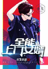 全能上门女婿