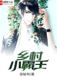 乡村小霸王