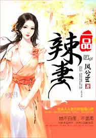 一品辣妻