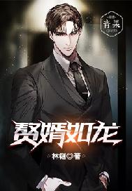 赘婿如龙