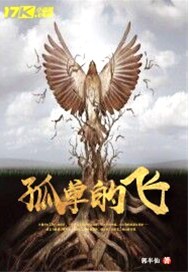 孤单的飞