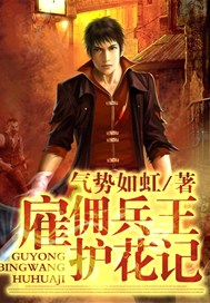 雇佣兵王护花记