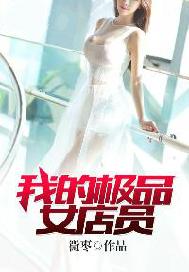 我的极品女店员