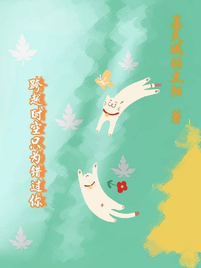 跨越时空只为错过你