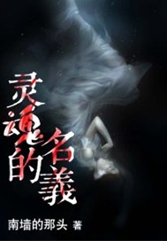 灵魂的名义
