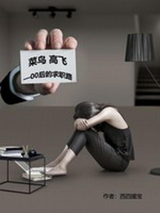 菜鸟高飞