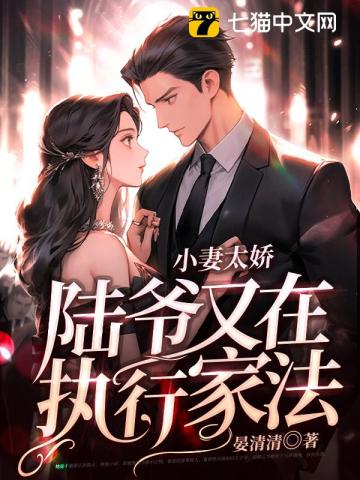 陆晏辞温宁